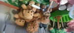 The Bears The Bears
